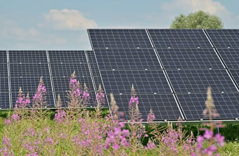 panneaux-solaires-photovoltaiques-fleurs-ciel-centrale-sol