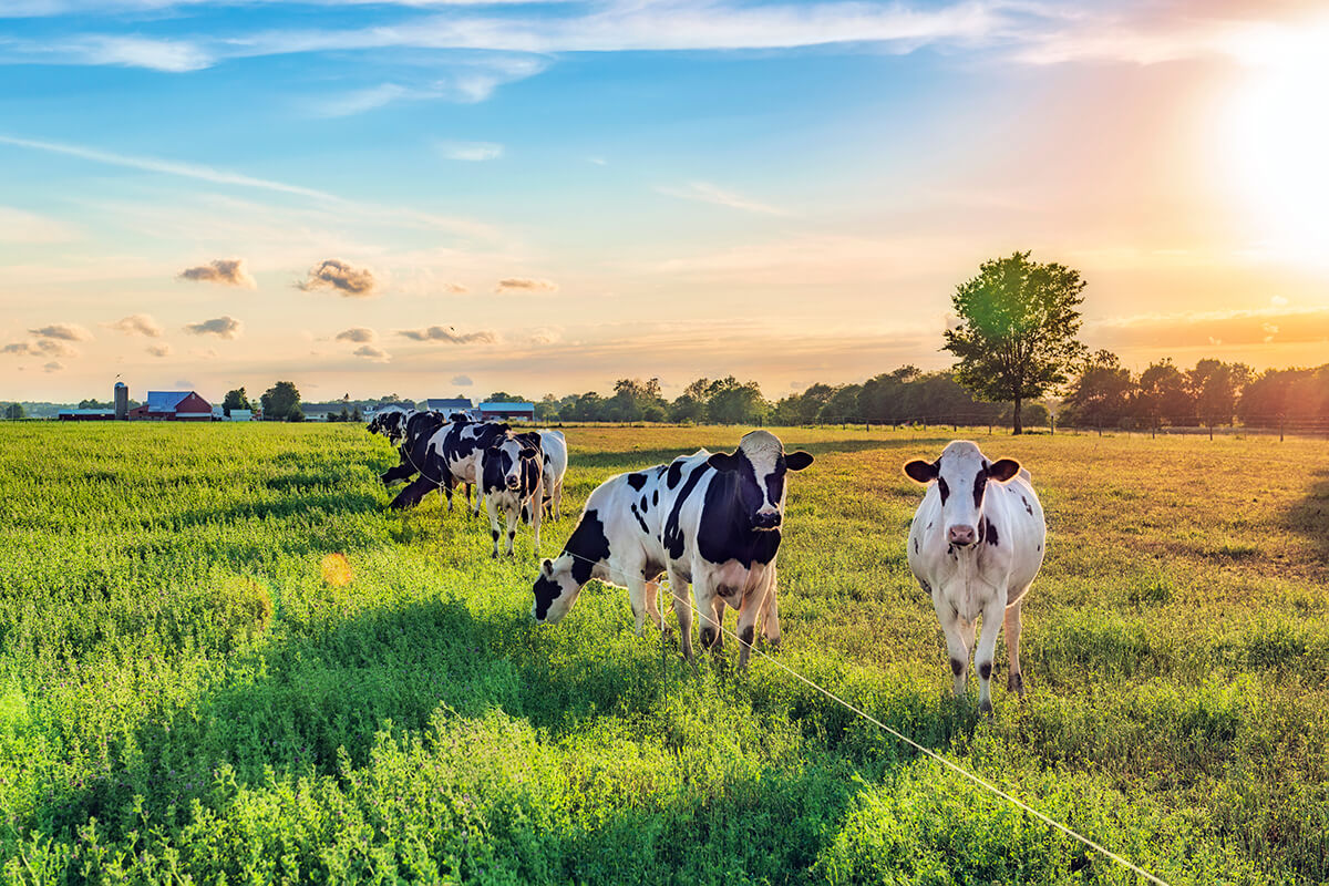 bilan carbone agriculture