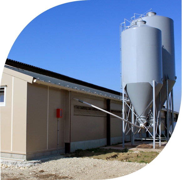 FormeFeuille-bat-elevage