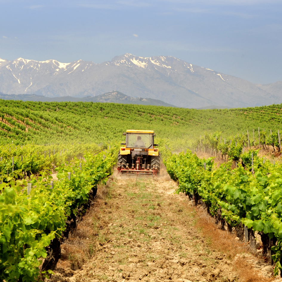 L’Île-de-France lance une subvention pour soutenir les investissements agricoles