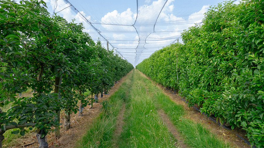 Décarbonation d'une exploitation agricole